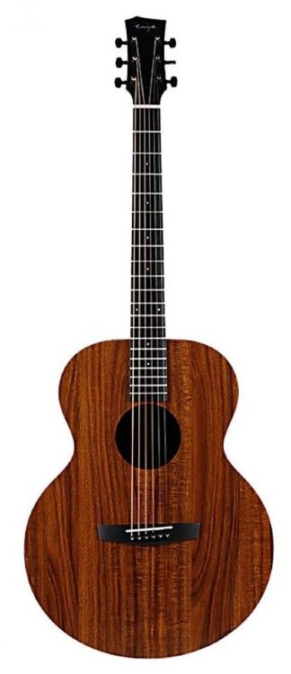 Акустическая гитара ENYA EA-X1+ (Чехол запасной комплект струн, каподастр, тюнер и медиаторы в комплекте)