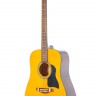 Акустическая гитара Fabio FW220 N (аналог Hohner)