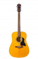 Акустическая гитара Fabio FW220 N (аналог Hohner)