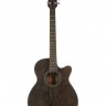 Акустическая гитара Fabio FXL-401 SBK (массив махагон + ель)