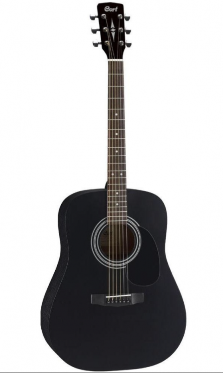 Гитара акустическая CORT AD 810 BKS черная