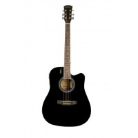 Акустическая гитара Elitaro E4120C BK