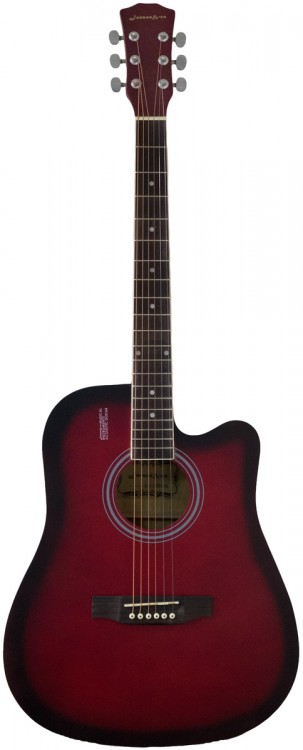 Акустическая  гитара Elitaro E4120 RDS