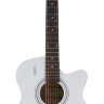 Акустическая гитара Elitaro L4020 WH Белая